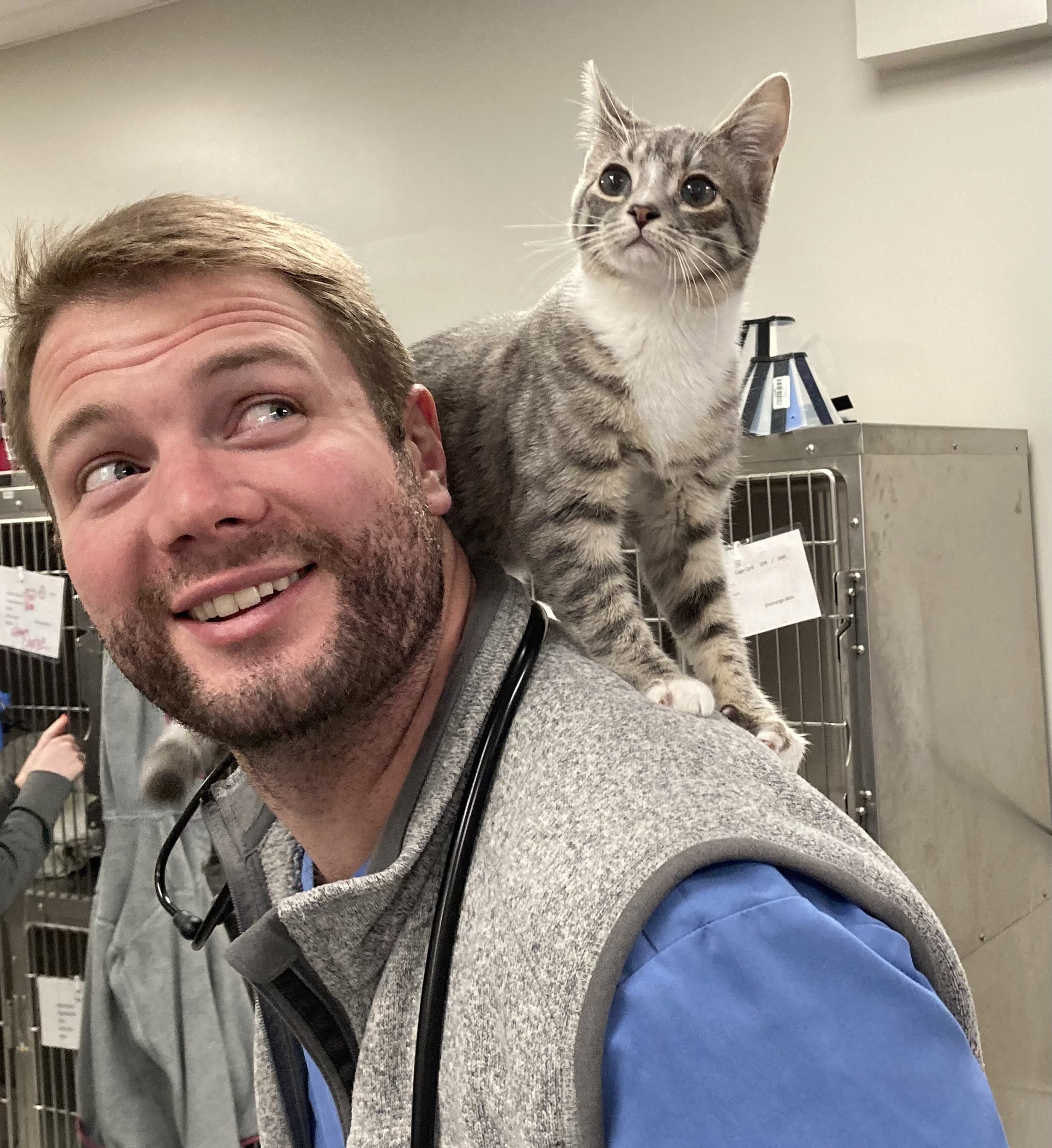 Dr. Clendinen at Huntsville Veterinary Animal Hospital with a kitten on his shoulder