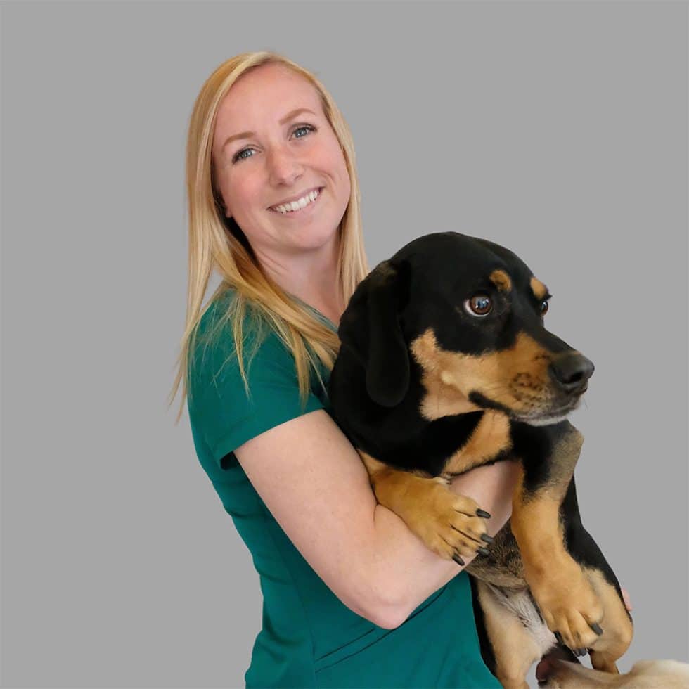 Veterinarian in Huntsville Wesley Clendinen DVM