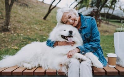 How Can I Detect And Manage Age-Related Health Issues In My Pet?